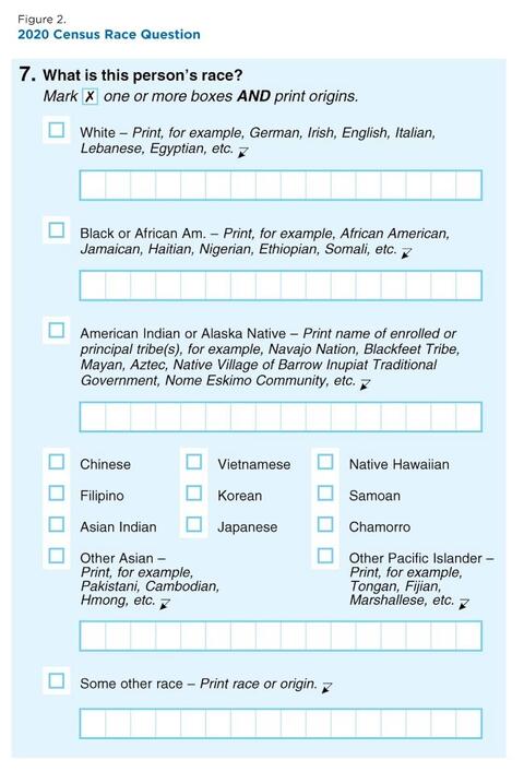 2020 Census Race Question