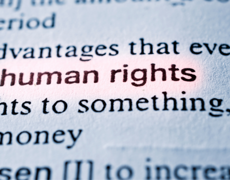The words, "human rights" are highlighted within a text.