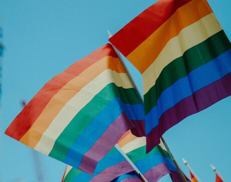 Picture of rainbow flags.